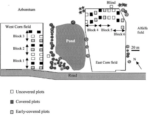 Fig. 1. Study area showing locations of the two experimental ﬁelds on each side of a pond near the Morgan Arboretum, Ste