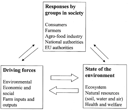 Fig. 1. The DSR framework for agri-environmental linkages andindicators (modiﬁed from OECD, 1997).
