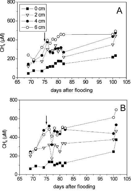 Fig. 2. Temporal change of CH4 concentrations in the soil pore-water taken from different depths of (A) control and (B) fertilizedplot, respectively