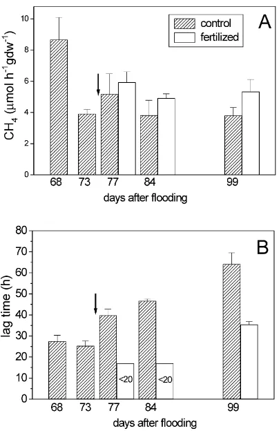 Fig. 5. Temporal change of (A) CH4 oxidation rates and (B) lagtimes of CH4 oxidation on the roots of rice plants