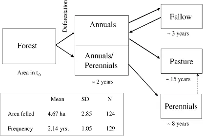 Fig. 1. Land-use systems on settlement farms in the westernBrazilian Amazon.