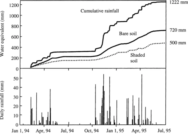 Fig. 5. Cumulative evaporation from bare soil and soil beneath a tree canopy calculated using a model based on the Richie (1972) approach.Rainfall and cumulative rainfall are also shown (reproduced from Wallace and Batchelor, 1997).