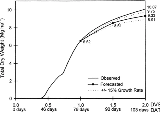 Fig. 6. Observed and forecasted total dry weight (Mg ha−1) of IR 64616 rice variety (time of forecast: development stage, DVS = 1.0)using a modiﬁed model based on SIMRIW model (Horie, 1993) and yield range based on ±15% change in forecasted growth rate.