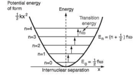Gambar 3 Fungsi eigen dari osilator harmonik keadaan dasar dan 