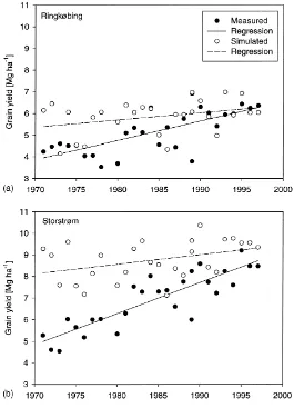 Fig. 4. Time trend of observed (�) and simulated (�) grain yield for winter wheat for two counties (Ringkøbing and Storstrøm)