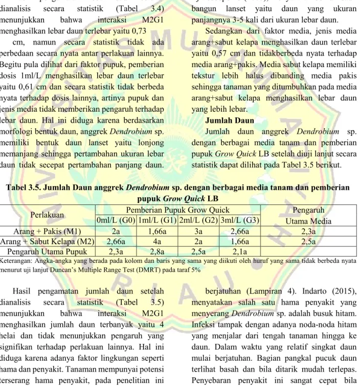 Tabel 3.4. Lebar daun (cm) anggrek Dendrobium sp. dengan berbagai media tanam dan pemberian  pupuk Grow Quick LB 