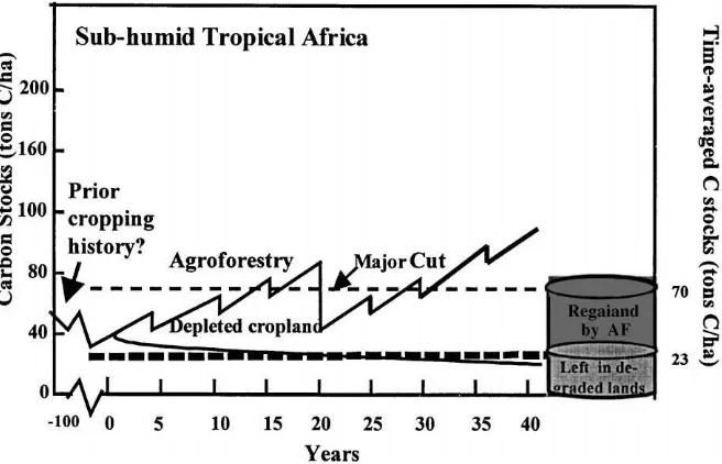 Fig. 4. Project time course and system carbon stocks (biomass and soil) and time-averaged C stocks in sequential agroforestry systemsbased on soil fertility replenishment and intensiﬁcation with high value trees in sub-humid tropical Africa.