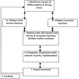 Fig. 1. Principal steps of integrated natural resource management research agenda (Izac and Sanchez, 2000).