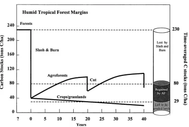 Fig. 3. Time course of system carbon stocks (biomass and soil), solid lines and time-averaged C stocks (dotted lines) in agroforestrysystems vs