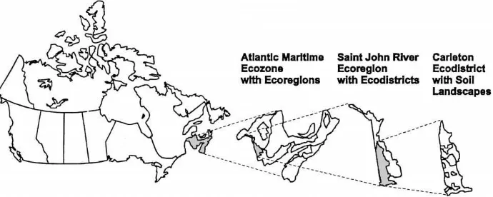 Fig. 1. Example of the ecostratiﬁcation hierarchy in Canada.