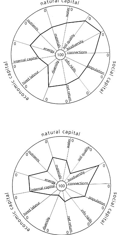 Fig. 2. Index of sustainability using sustainability polygons.