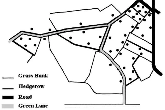 Fig. 1. Map of the Warburton study site in Trafford used for butterﬂy transects in 1997