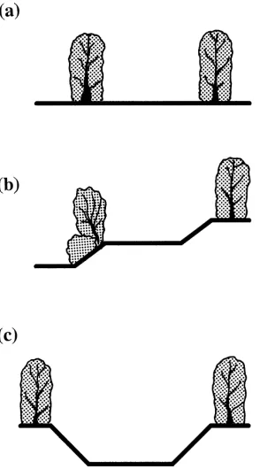 Fig. 2. Cross-sections of green lanes used for butterﬂy transectsat the Warburton site in 1997