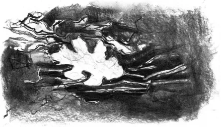 Fig. 1. Oakleaf fallen on fertile soil, by Trijnie Goudriaan.