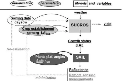 Fig. 2. Flowchart showing the assimilation of remote sensing datainto the crop model.