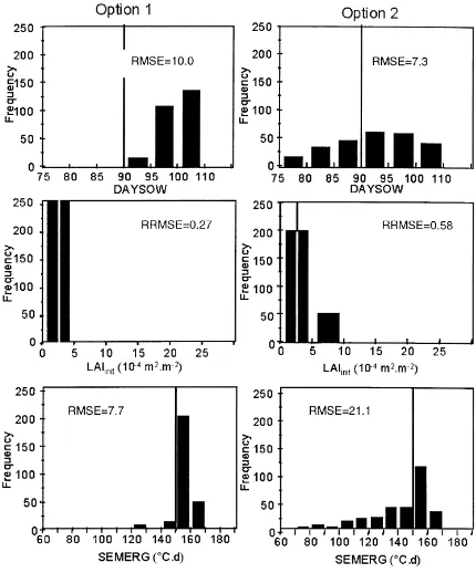 Fig. 6. Estimated root dry mass and simulated LAI time changesas resulting of the 250 processes of reﬂectance assimilation intosowing date, poor emergence, silty loam, intermediate soil surfacehumidity), and the two options for estimating SAIL parameterses