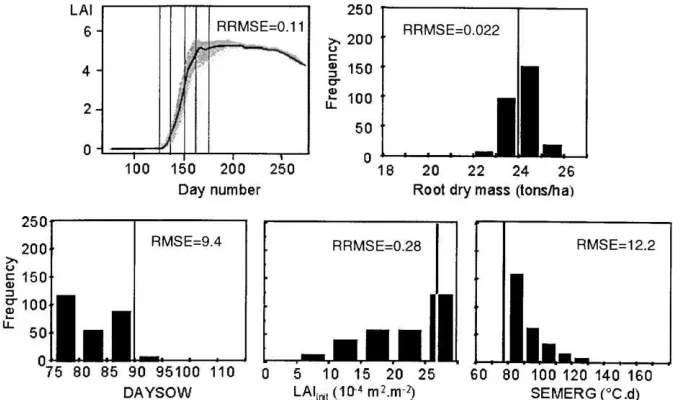 Fig. 8. LAI change with time, histograms of root dry mass, DAYSOW, SEMERG and LAIinit values as resulting of the 250 processes ofreﬂectance assimilation into SUCROS+SAIL model for a medium sowing date, good emergence crop situation (soil condition: silty l
