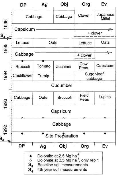 Fig. 1. Crop sequences on the ﬁve vegetable farming-systems in theSomersby vegetable farming-systems experiment and the timing ofsoil sampling and dolomite applications