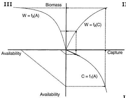 Fig. 7. Relations between (I) availability and capture; (II) cap-ture and biomass production; and (III) availability and biomassproduction (see text).