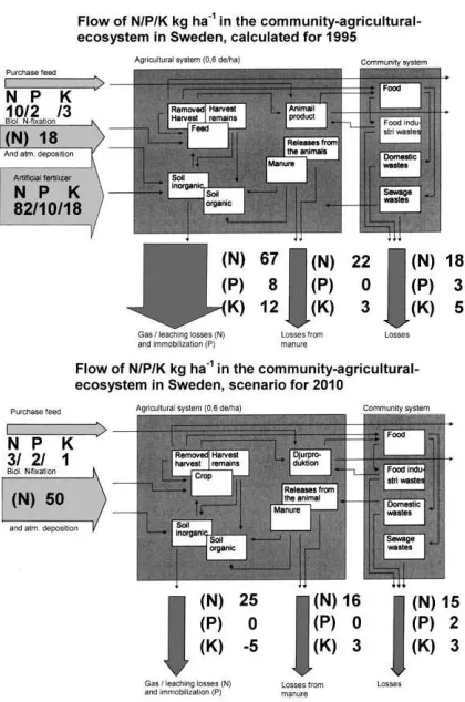 Fig. 8. Plant nutrient (N, P and K) ﬂows, in kg ha−1, in arable landin 1995 in the Swedish community-agroecosystem and in a scenariofor 2010 with halved losses of nitrogen resulting from increased in-tegration of crop and animal production