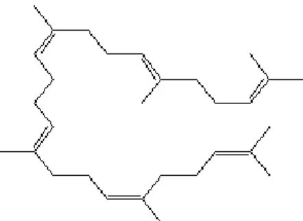 Gambar 2.5 Struktur Squalene (Kusumaningrum and Widayati, 2017) 