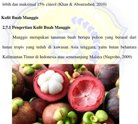 Gambar 2.10 Kulit Buah Manggis (Nugroho, 2009) 