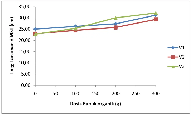 Gambar 2. Grafik perbandingan rataan tinggi tanaman 3 MST pada masing-
