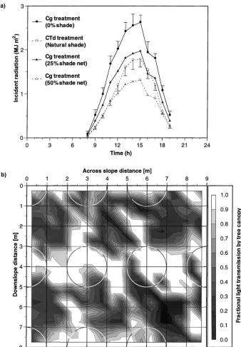 Fig. 4. (a) Mean diurnal time courses for short-wave radiation incident upon maize in the Cg 0%, Cg 25%, Cg 50% and CTd treatments fora 11-day period centred around anthesis during the 1994/95 short growing season; single standard errors of the mean are sh