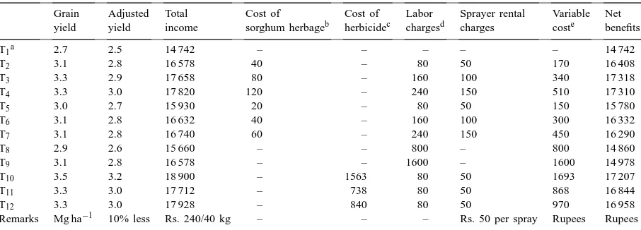 Table 6Effect of frequency and concentration of sorgaab spraying on growth and yield of wheat in Experiment 2