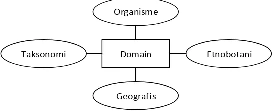 Gambar 12 Batasan domain penelitian  