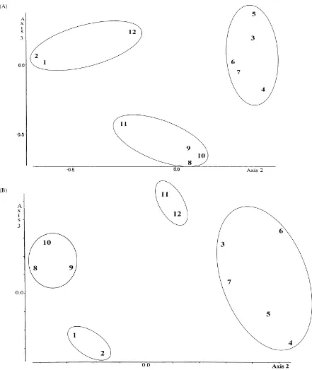 Fig. 4. Scattergram of the months by data from the manure seed bank (M) showing their relationship to each other as inﬂuenced by thespecies composition of the manure seed bank in (A) 1996; (B) 1997.
