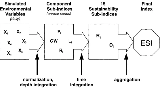 Fig. 1. Flow of information and computation of the ESI.