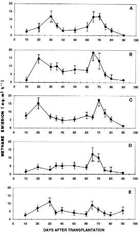 Fig. 1. Effect of Azollano N (Control), B. urea (60 kg N ha and urea application on methane efﬂux from ﬂooded alluvial ﬁeld planted to rice (cv