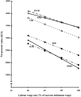 Fig. 3. Net present values of different cropping systems at different labour wage rates