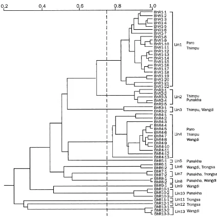 Fig. 4. Phylogenetic tree for P. grisea isolates collected in Bhutan in 1995. The phenogram was derived from restriction fragment lengthpolymorphism band data, based on the hybridisation of EcoR1-digested DNA with the multilocus element MGR586.