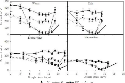 Figure 1. Stomatal conductance (Gs) of well watered (C) and drought stressed (S) wheat, kale, E