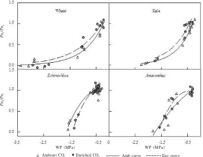 Table 3. The change of the curve of relative assimilation rate (RPn)response to WP (DRPn/DWP) of plants grown in ambientand doubled [CO2]