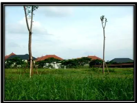 Gambar 3.5. Jalan Lingkar Dalam 
