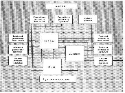 Fig. 1. Spatial-temporal representation of an agroecosystem. Energy, material and monetary transfers existing between market and theelementary sectors of the farm are represented