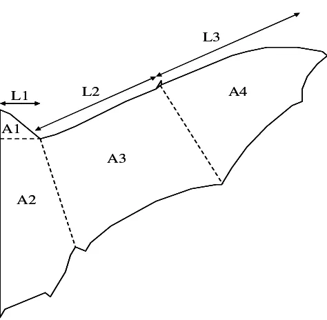 Gambar 6.  Morfologi sayap kelelawar dikutip dari ( Huang, 2010). 
