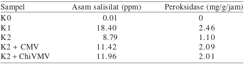 Tabel 2. Rata-rata nilai absorban ELISA dan kejadian penyakit padatanaman cabai kultivar Tit Segitiga