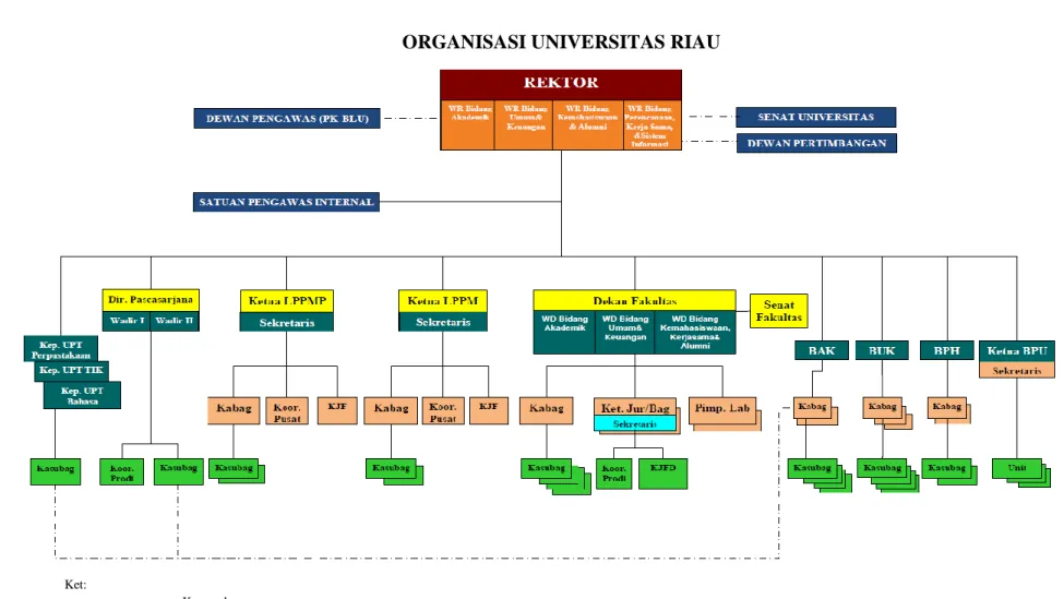 Gambar 1. Bagan Struktur Organisasi setelah menjadi BLU 