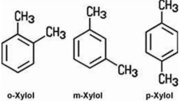 Gambar 2.1 Struktur Kimia Xylol                       Sumber : (Nerissa, 2009) 
