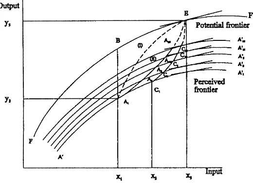 Fig. 1. Time paths of farm-speciﬁc efﬁciency with constant technology.