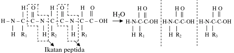 Gambar 4.  Mekanisme reaksi hidrolisis (Hart dan Schuetz 1961).  