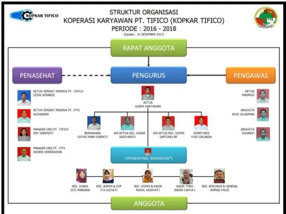 Gambar IV.3 Struktur Organisasi Anggota Kopkar PT. Tifico  Struktur  organisasi  adalah  bagan  yang  dibuat  sebagaimana  pekerjaan  dibagi,  dikelompokkan,  dan  dikoordinasikan  secara  formal