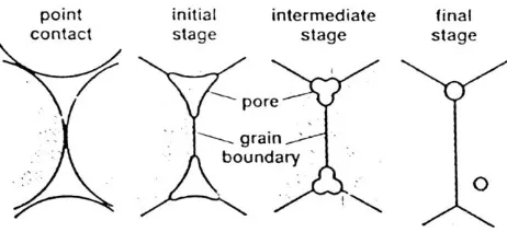 Gambar 2.6 Skema penyusutan pori selama proses sintering. (Sumber : German, 1994). 