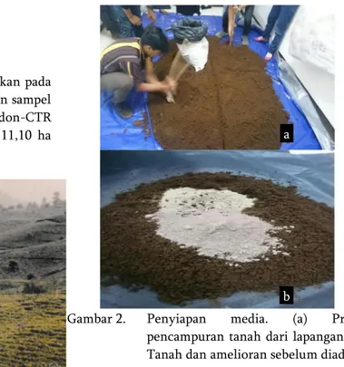 Gambar 2.  Penyiapan  media.  (a)  Proses  pencampuran tanah dari lapangan. (b)  Tanah dan amelioran sebelum diaduk
