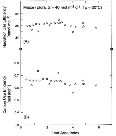 Fig. 1. The variation of average radiation-use efﬁciency forgross photosynthesis (mmol CO2 per mol intercepted photon;mmol mol−1) by maize (n = 24) and rice (n = 14) canopies withincident total irradiance at Kununurra (Australia).