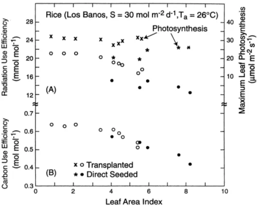 Fig. 3. The variation of radiation-use efﬁciency (mmol mol−1)and carbon-use efﬁciency (mol mol−1) with leaf area index forsorghum at Los Banos (Philippines), and Kununurra (Australia).